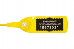 Авангард 220